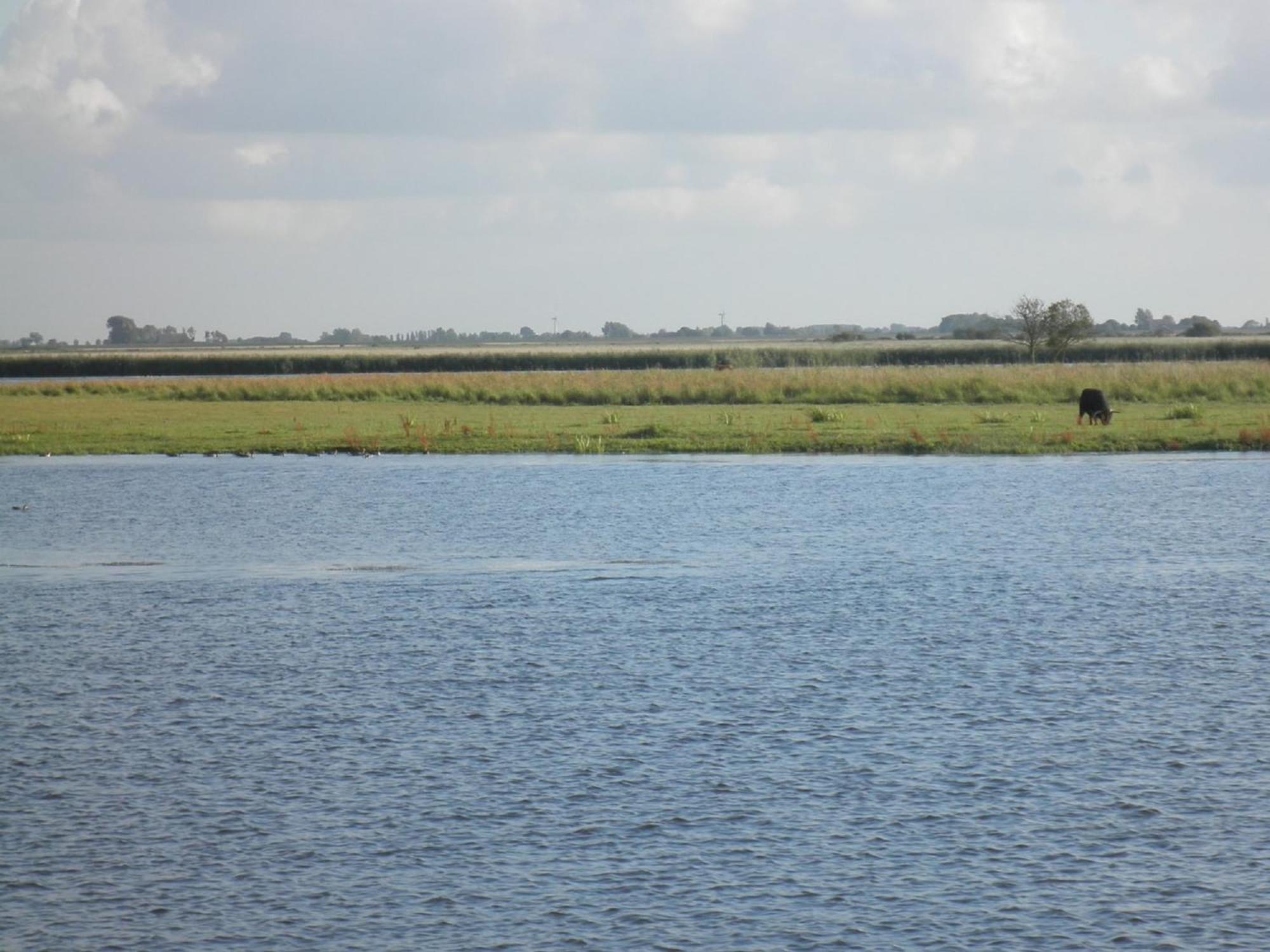 Leonie 6 Pers Holiday Home With A Large Garden Close To The Lauwersmeer Anjum Exteriör bild